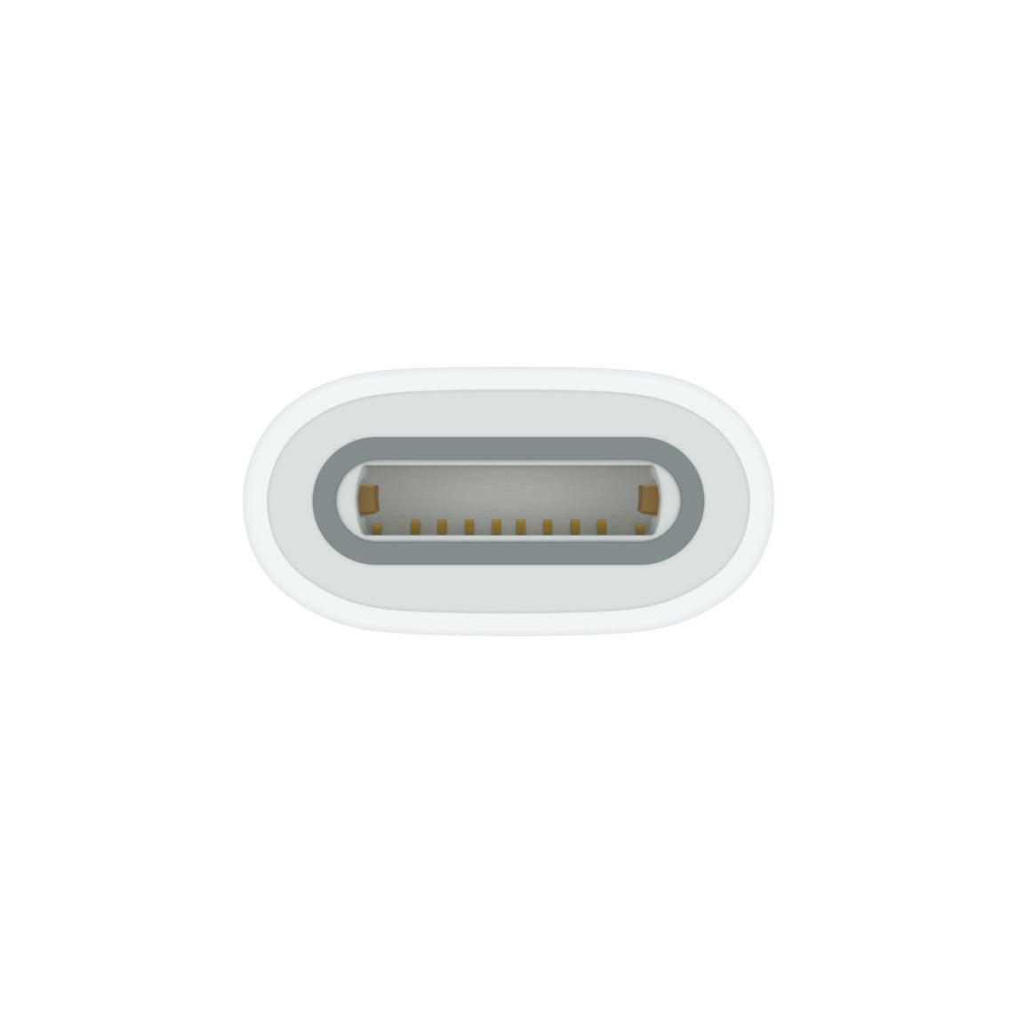 USB-C to Apple Pencil Adapter