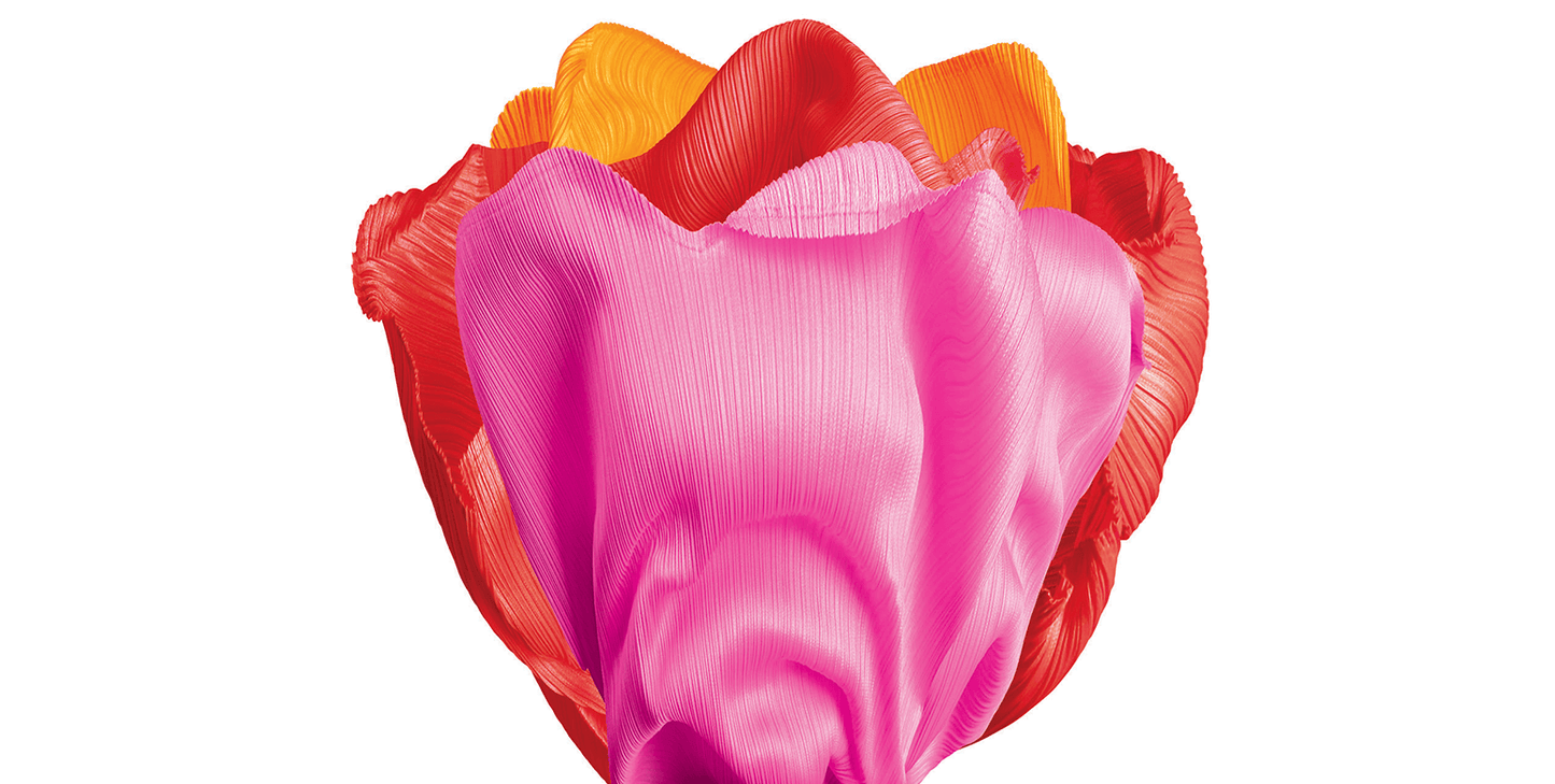 Issey Miyake Pleats Please