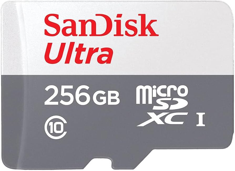 SanDisk 256GB Micro Class 10 detail view — available in Kenya at Trewrld KES 9,800, M-Pesa & free Nairobi delivery