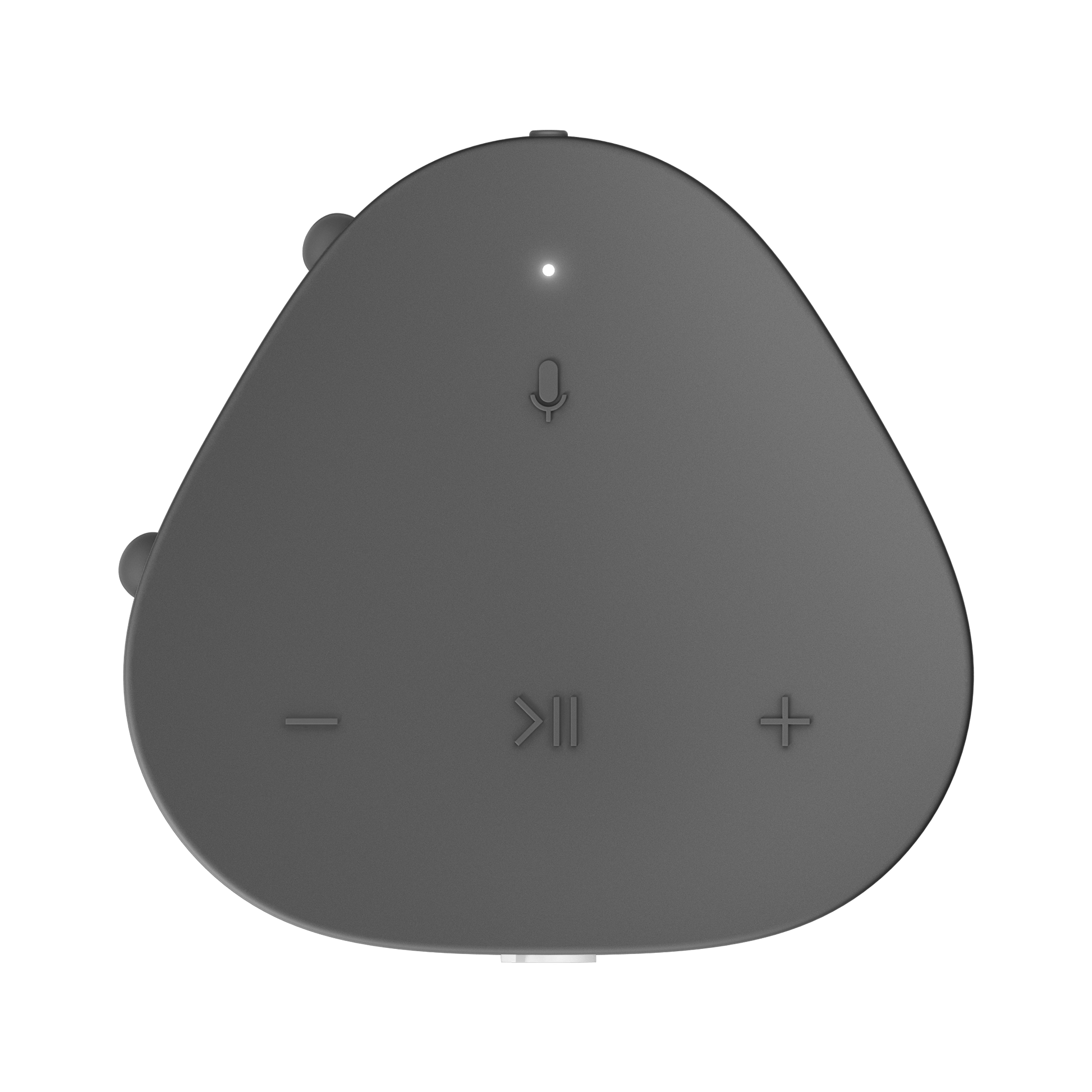 Sonos Roam speaker in Shadow Black, top view showing button controls