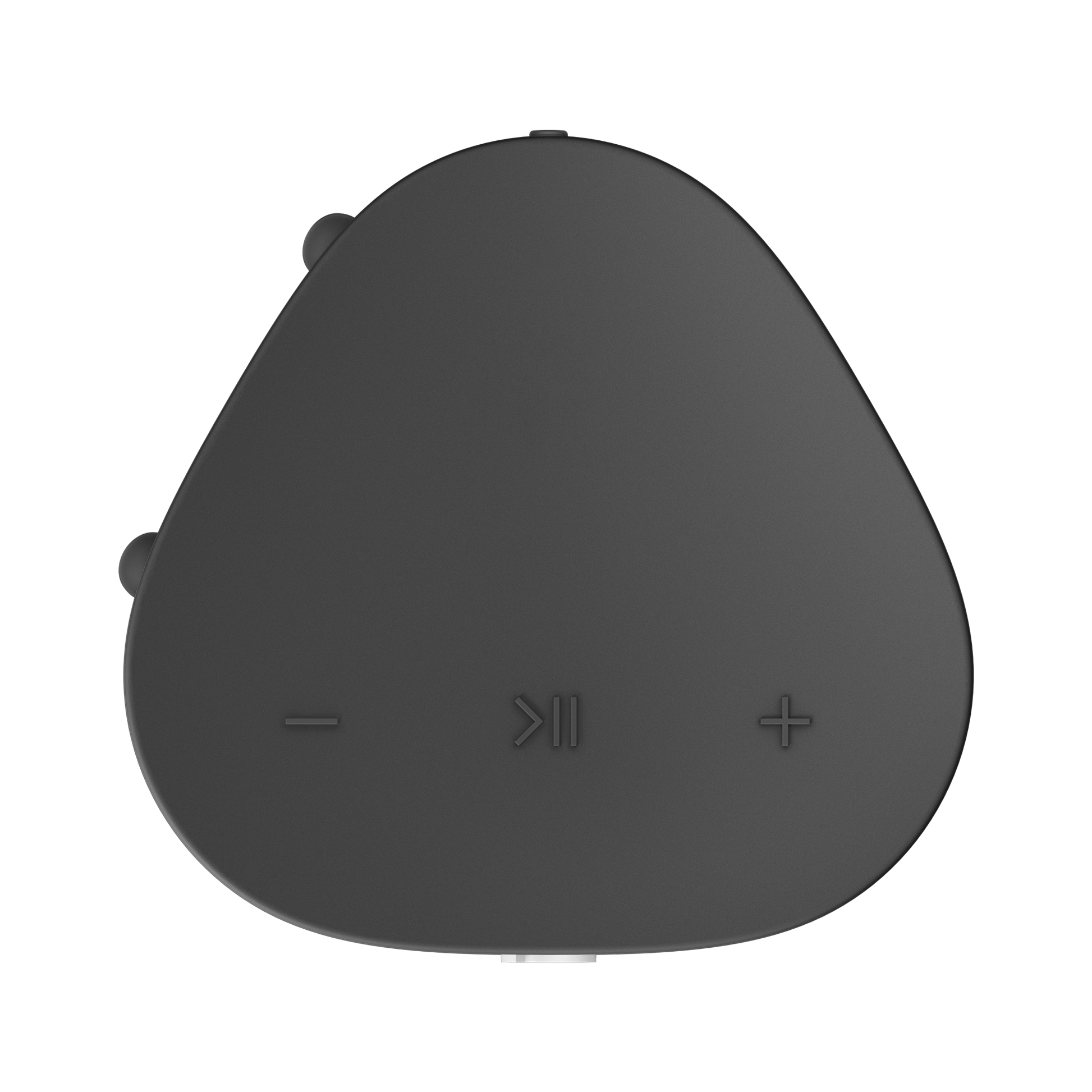 Sonos Roam SL in Shadow Black, top view showing button controls